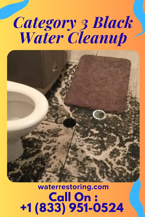 Category 3 Black Water Cleanup in Potomac Heights, MD
