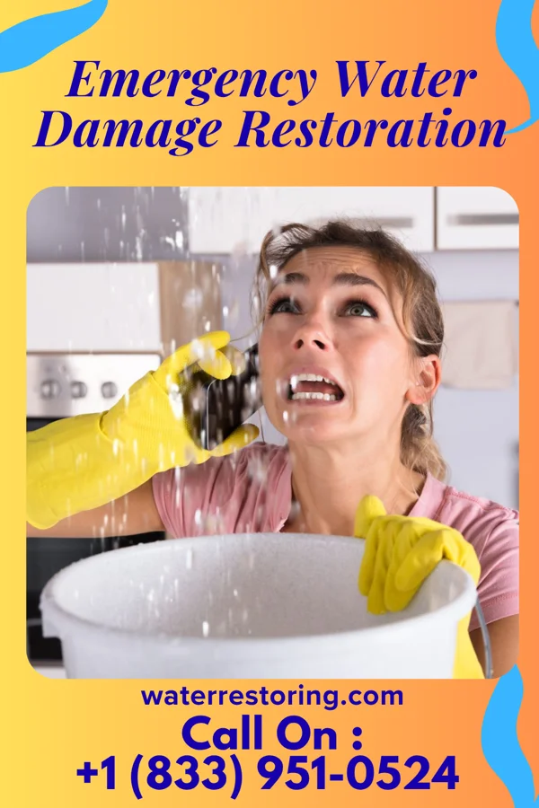 Emergency Water Damage Restoration in Potomac Heights, MD