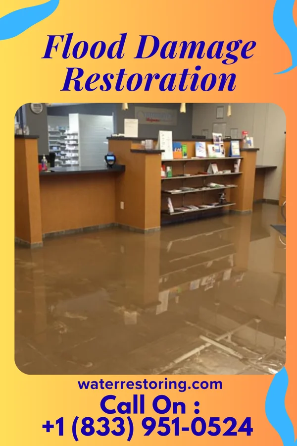 Flood Damage Restoration in Potomac Heights, MD