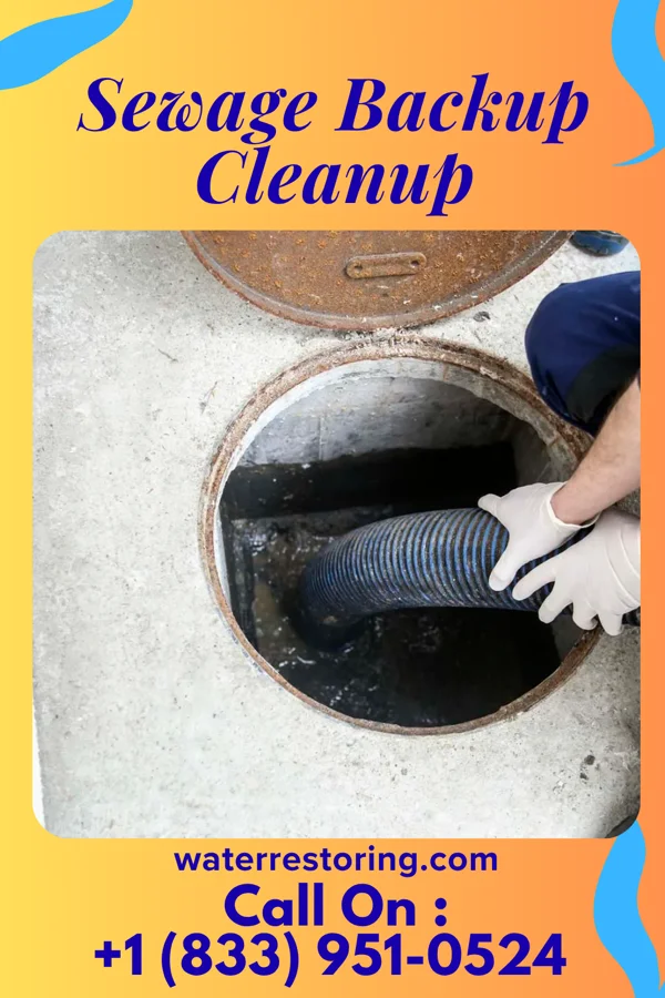 Sewage Backup Cleanup in Potomac Heights, MD