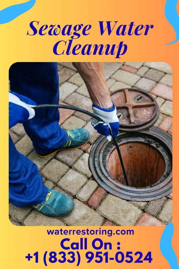 Sewage Water Cleanup in Potomac Heights, MD