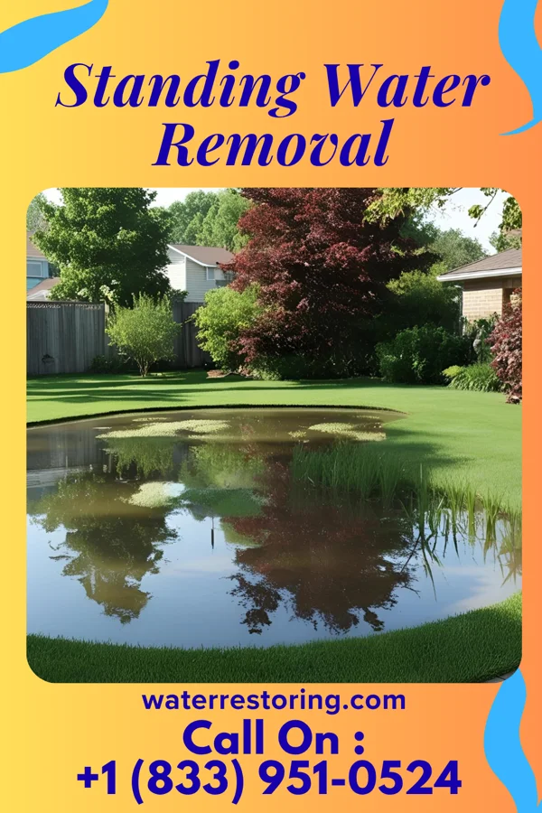 Standing Water Removal in Potomac Heights, MD